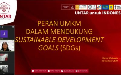 Potensi UMKM dalam Mencapai SDG