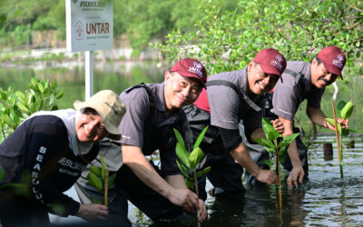 Hari Mangrove Sedunia Ingatkan Pentingnya Ekosistem Pesisir untuk Masa Depan