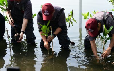Hari Keanekaragaman Hayati Internasional 2025: Harmoni dengan Alam, Kunci Pembangunan Berkelanjutan