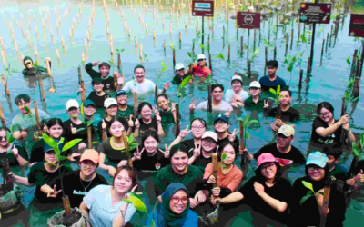 FSRD Untar Students Take Action by Planting Mangroves at Angke Kapuk Mangrove Nature Tourism Park