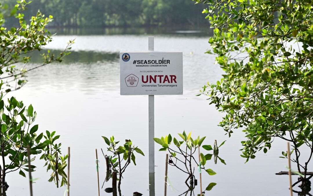 Protecting Mangroves, Protecting Our Shared Future with Untar