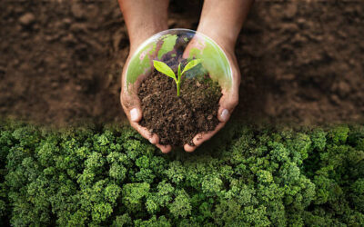 Encouraging Environmental Awareness Among Students Through Earth Day