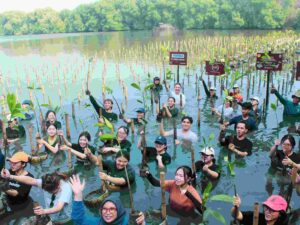 FSRD Untar Students Take Action by Planting Mangroves at Angke Kapuk Mangrove Nature Tourism Park